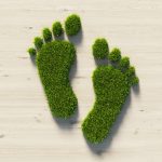 Conceptual image of a footprint made of green grass on wood background. 